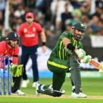 Como Conseguir um Cartão de Crédito da Neon